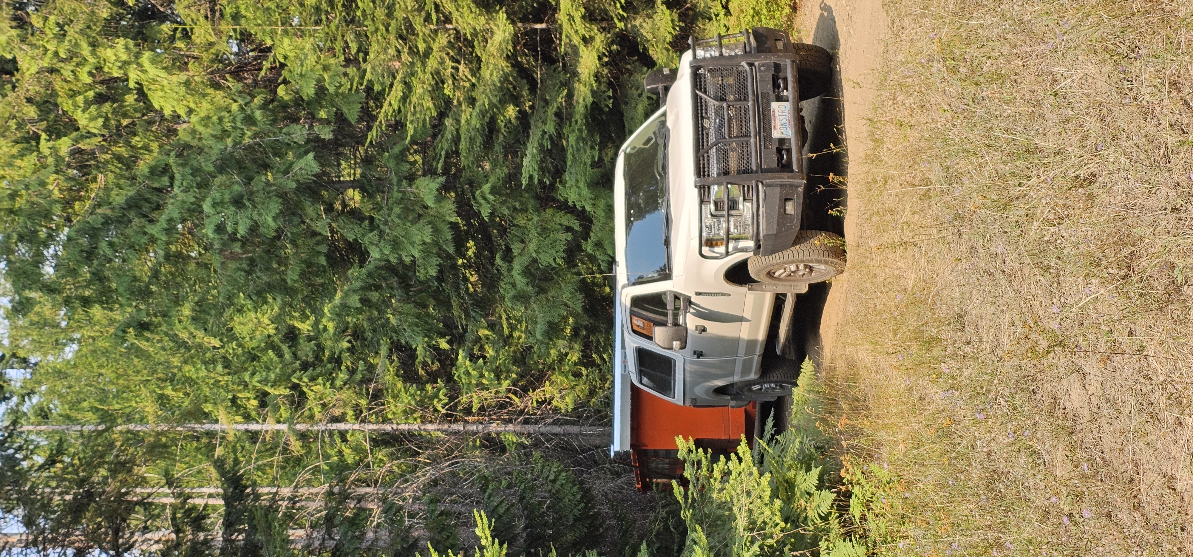 And It's Gone truck in the forest